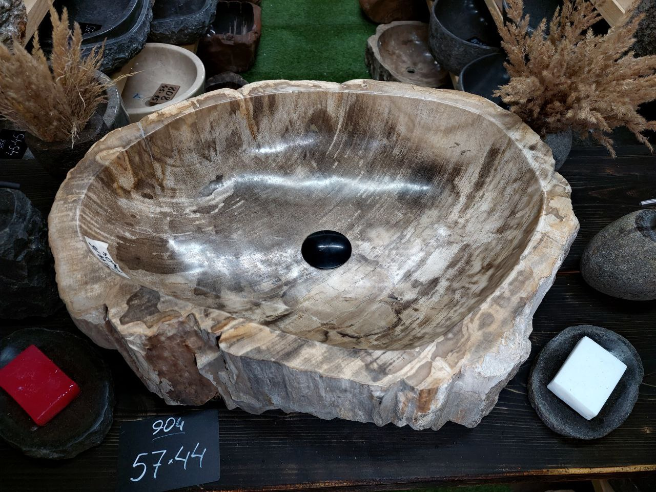 Раковина из окаменелого дерева