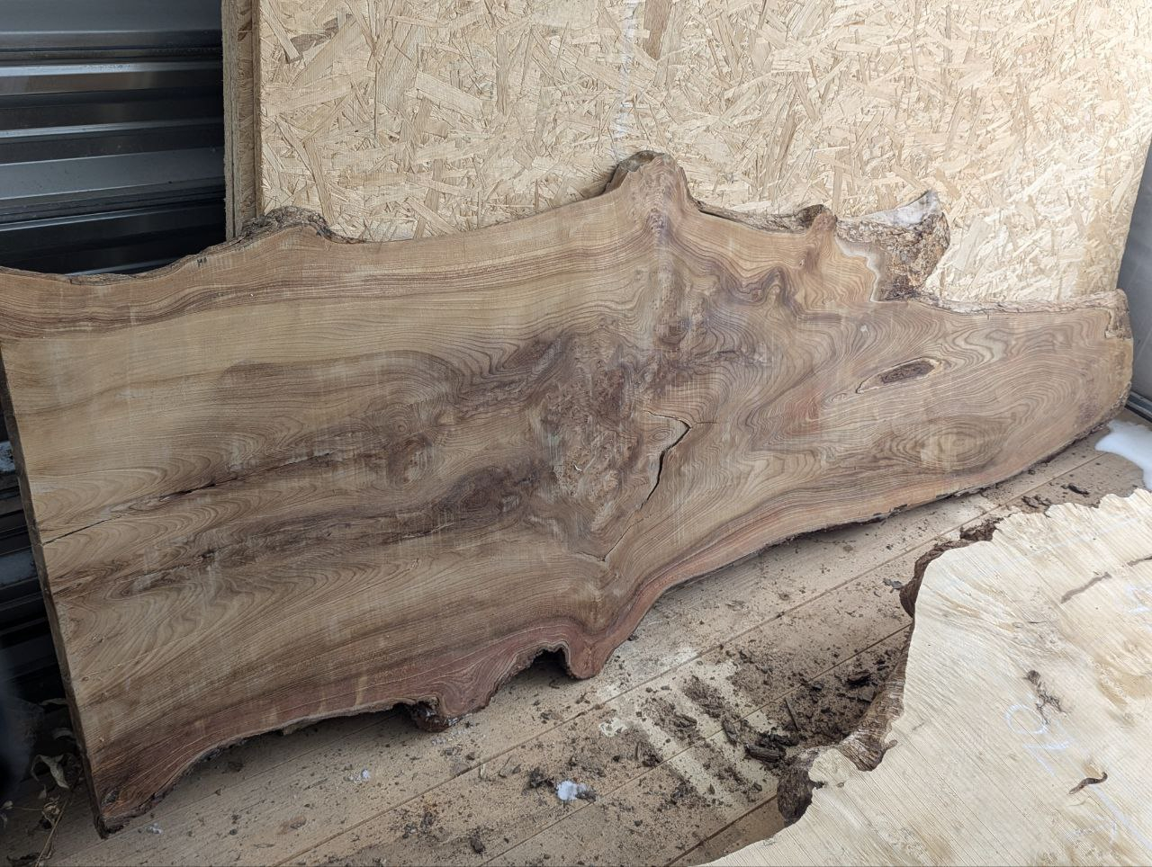 слэб из массива карагача