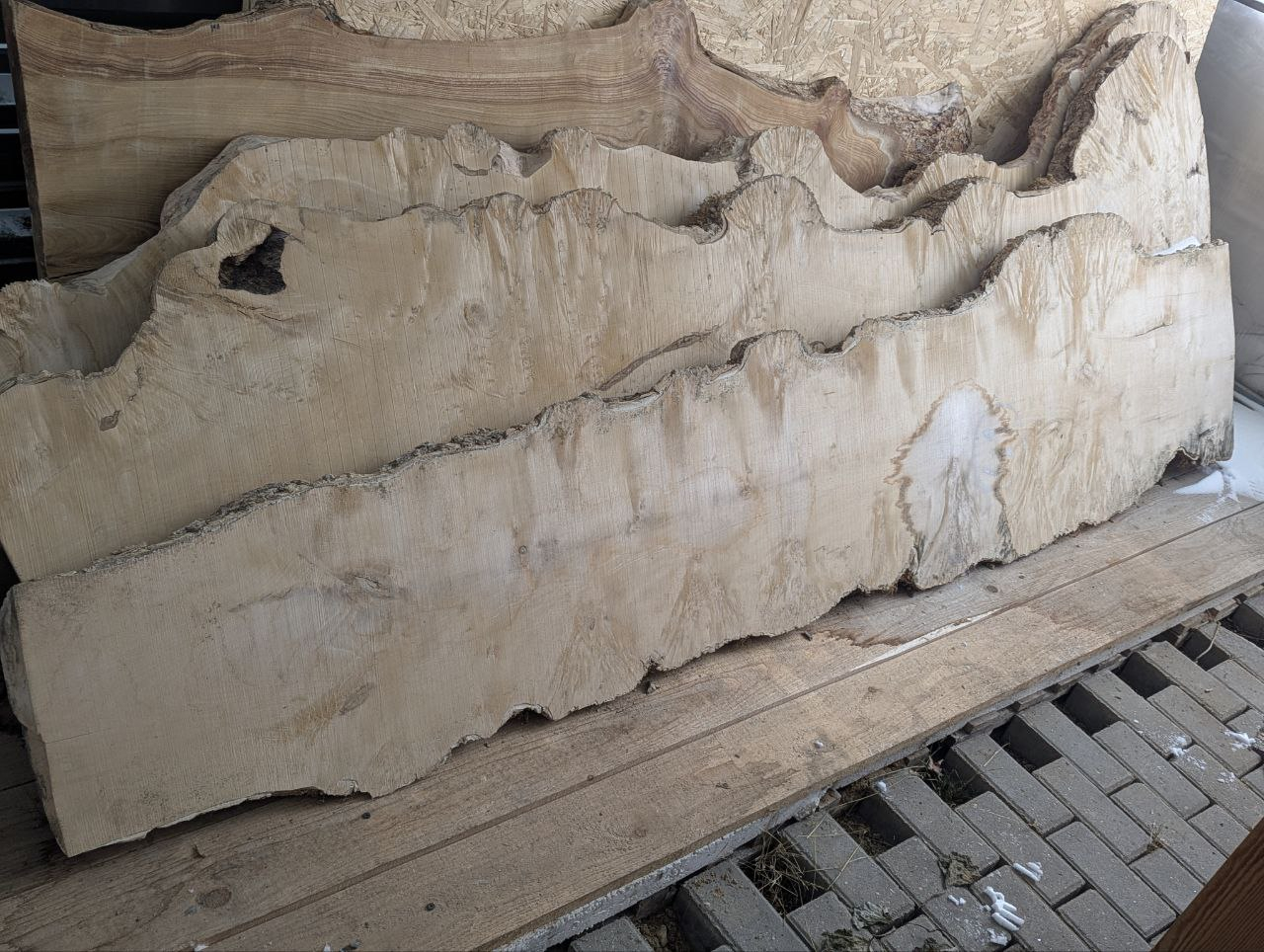 слэб из массива клена