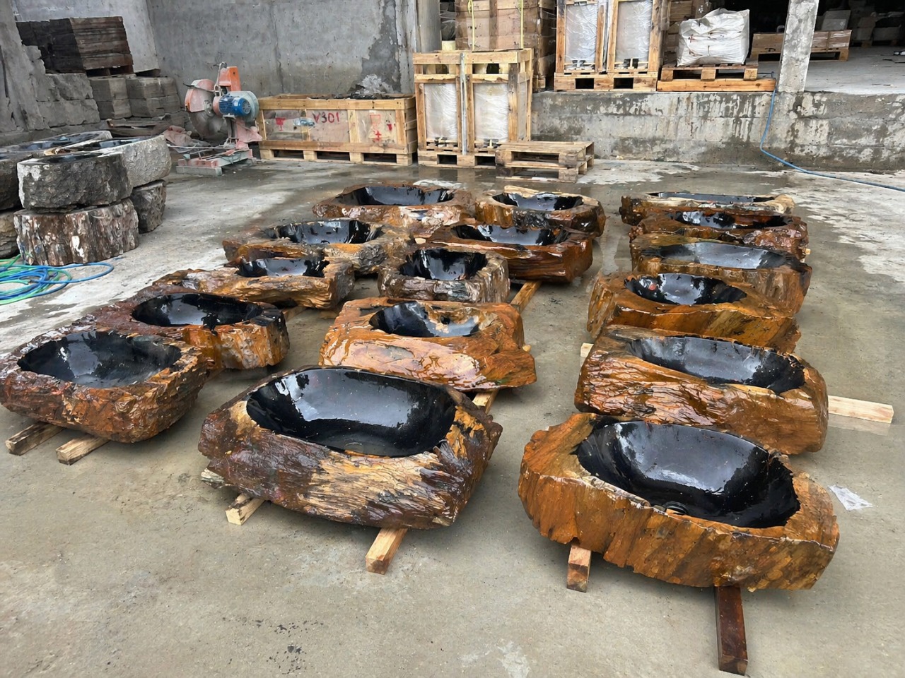 Раковины из окаменелого дерева